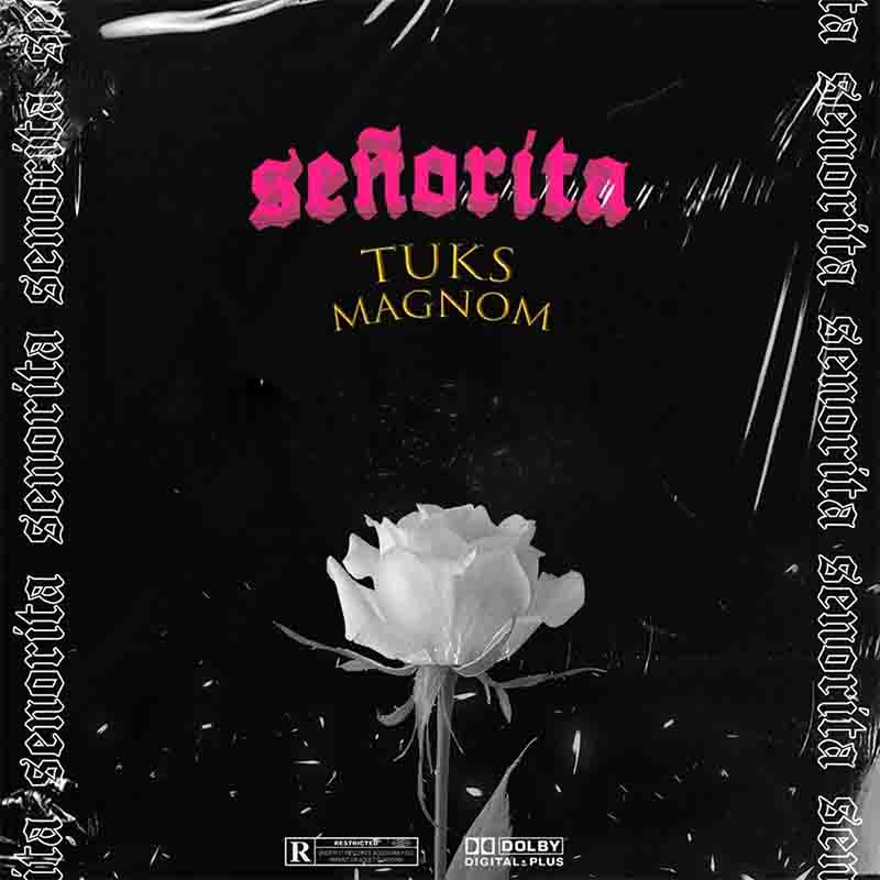 Magnom & Tuks - Senorita (Prod by Tuks) - Ghana MP3