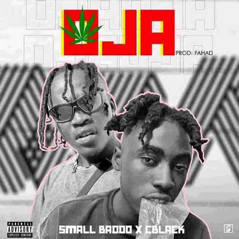 Small Baddo - Oja ft. C Blvck (Naija MP3)