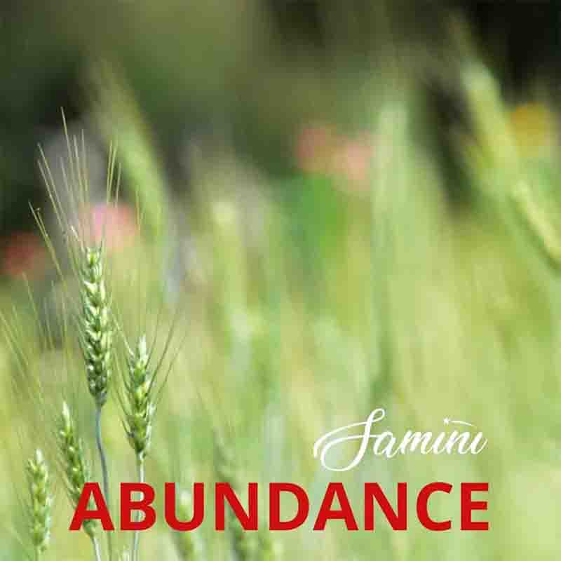 Samini - Abundance (Ghana Afrobeat Mp3 Download 2022)