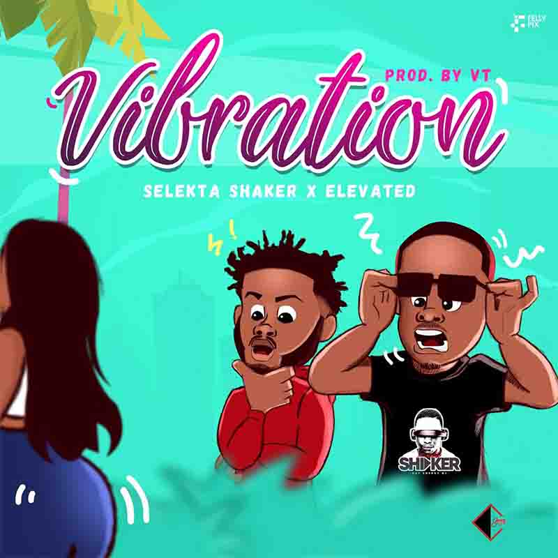 Selekta Shaker Vibration ft Elevated