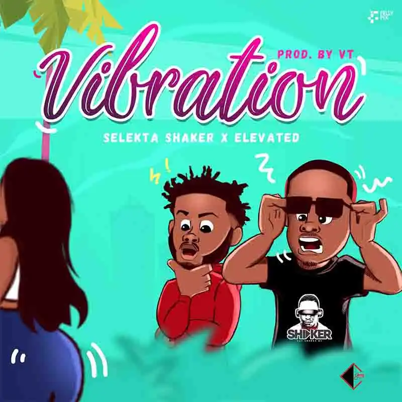 Selekta Shaker - Vibration ft Elevated (Produced by VT)