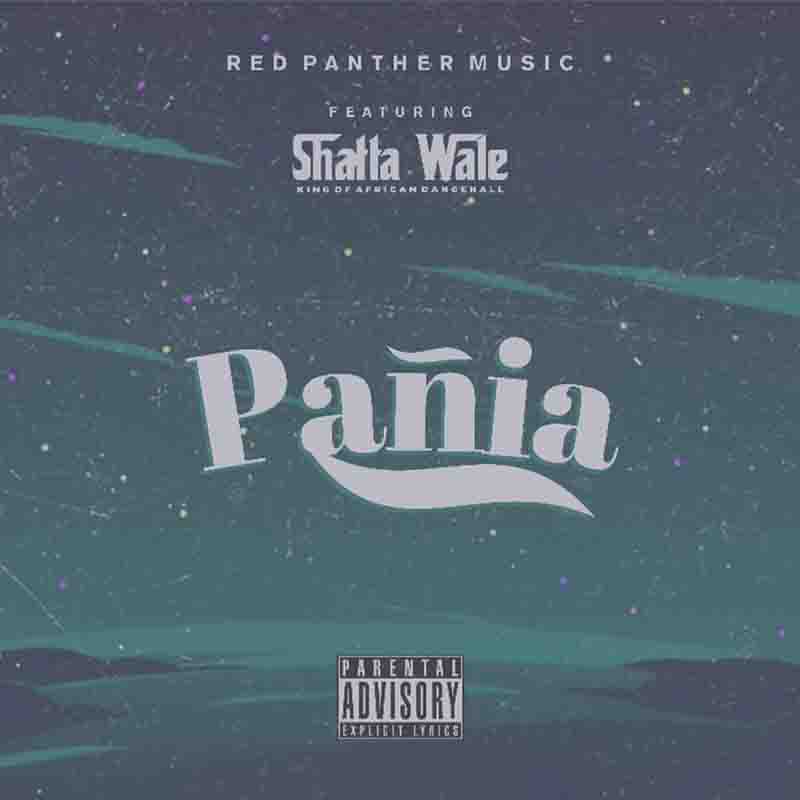 Shatta Wale - Pania (Ghana MP3 Download) - Panai