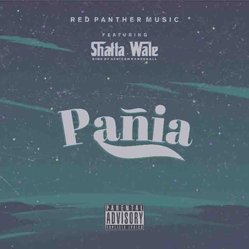 Shatta Wale Pania