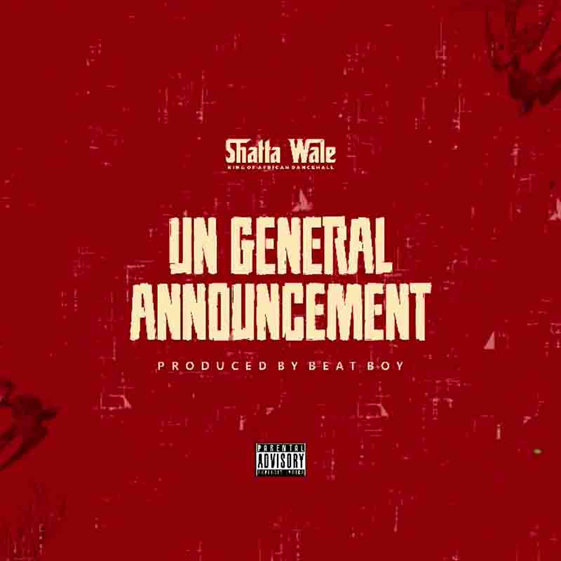 Shatta Wale UN general Announcement
