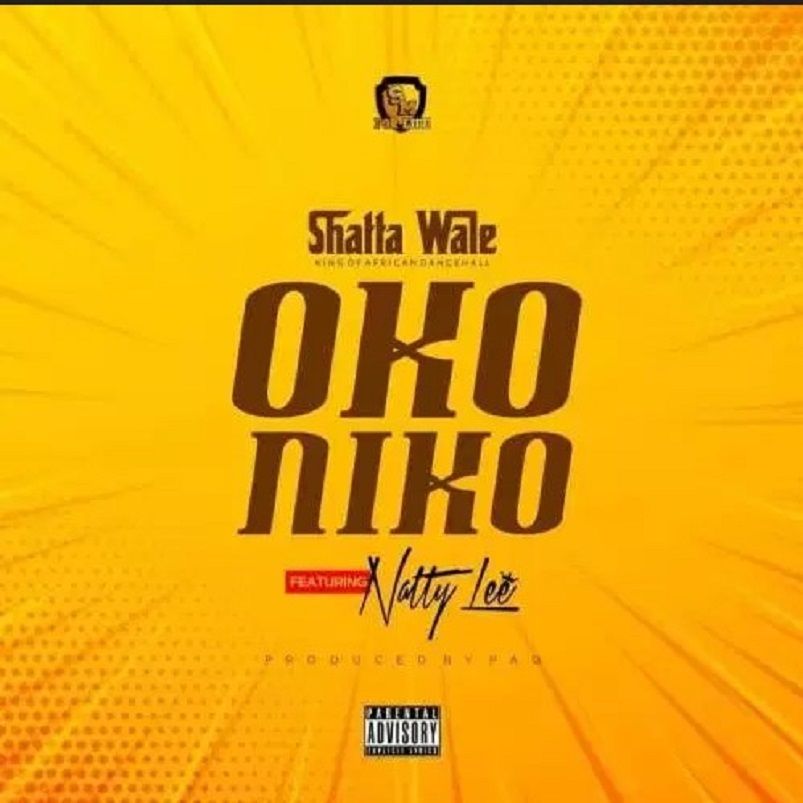 Shatta Wale ft. Natty Lee – Oko Niko