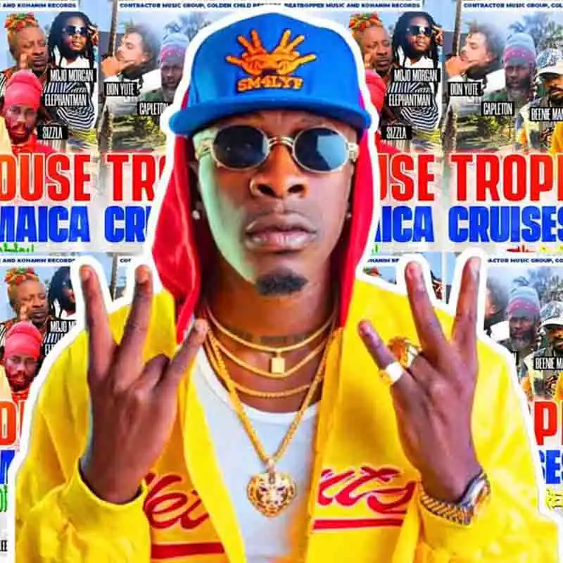 Shatta Wale - Dream (Tropical House)
