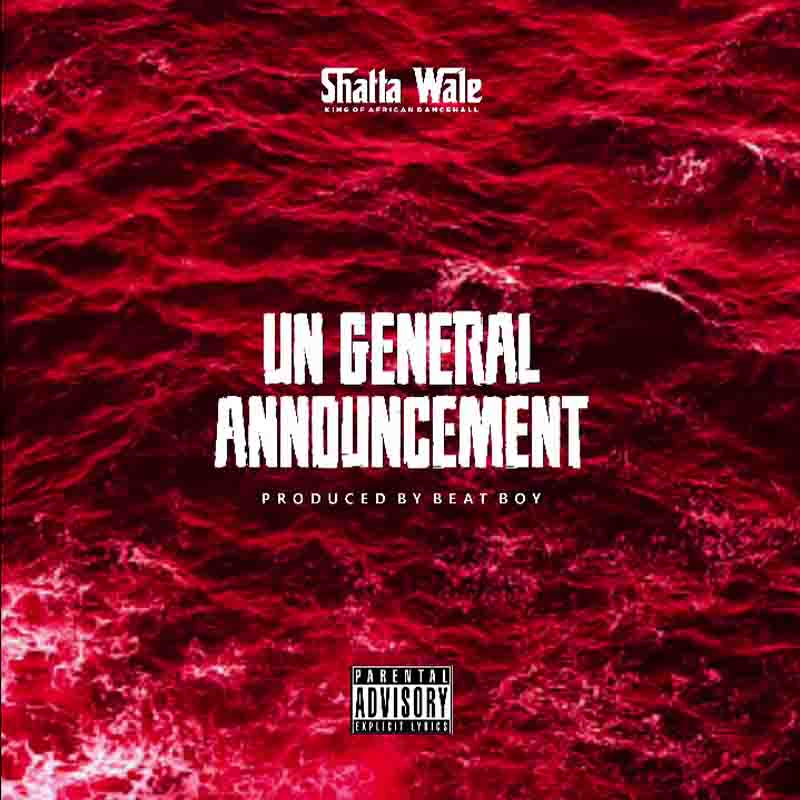 Shatta Wale UN Announcement 2 