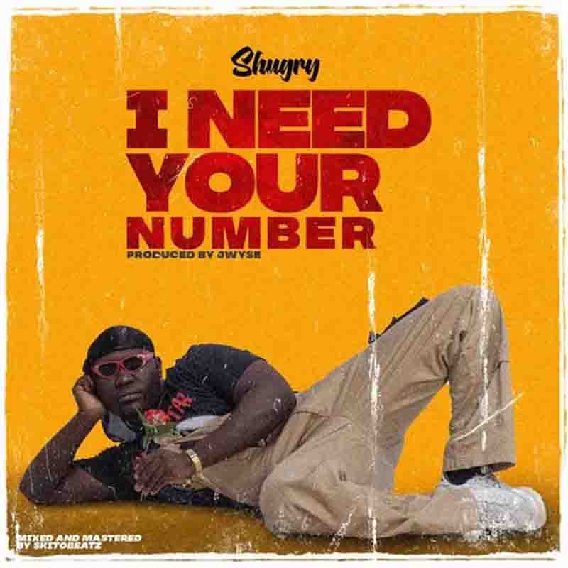 Shugry I Need Your Number