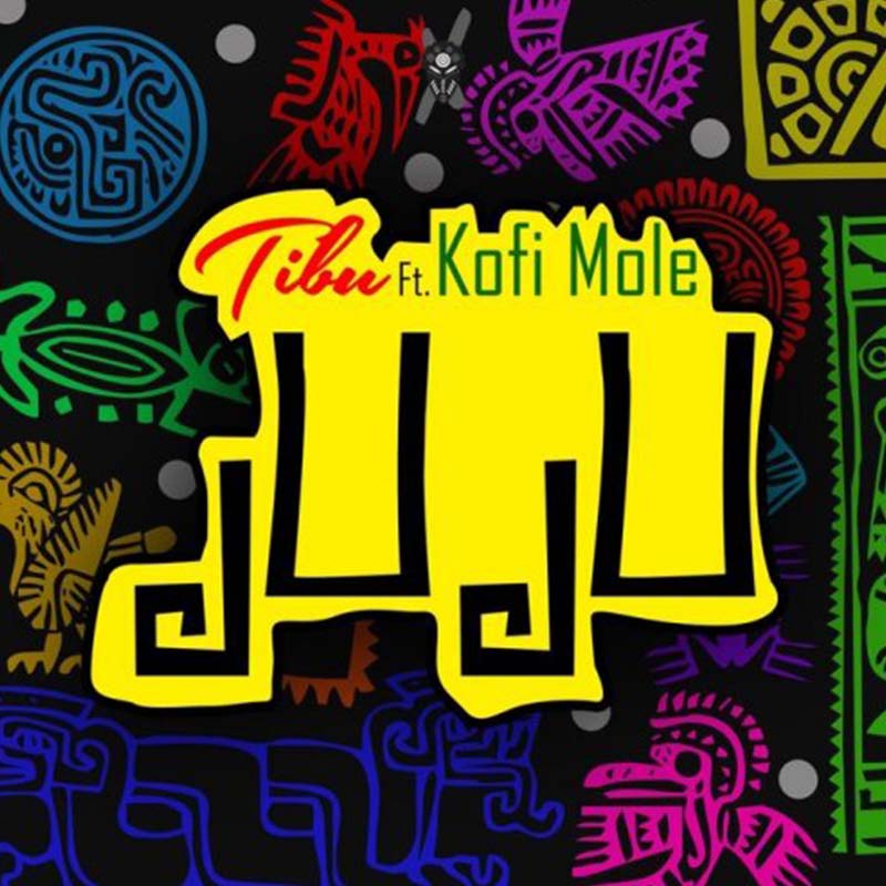 Tibu ft Kofi Mole – Juju