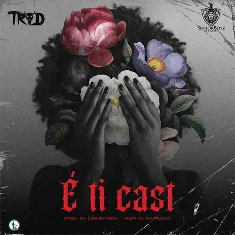 TROD – E Ti Cast (Prod. By LionBadBoy)