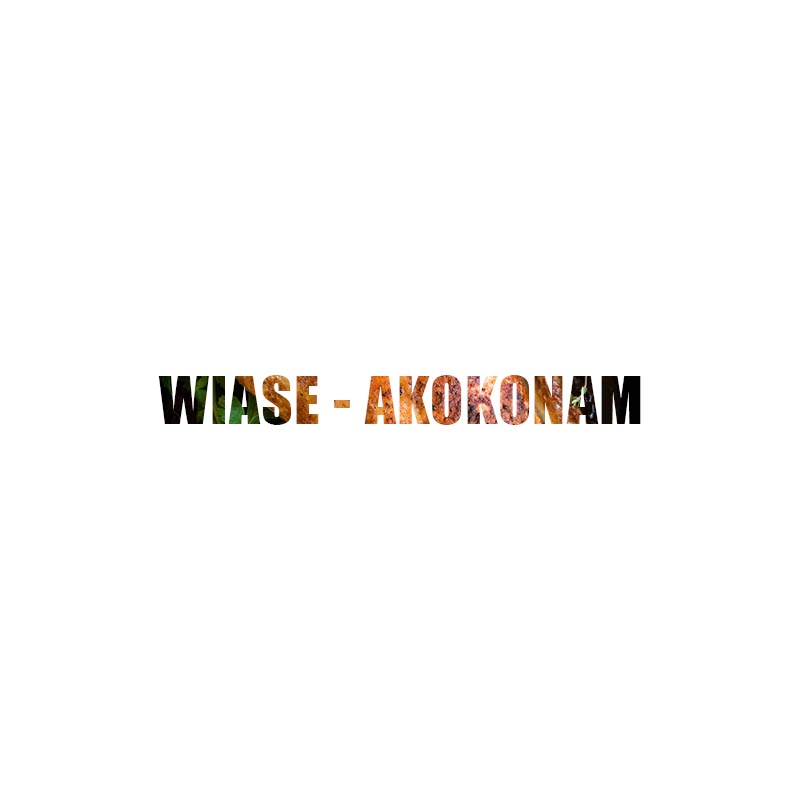 Wiase AkokonaM