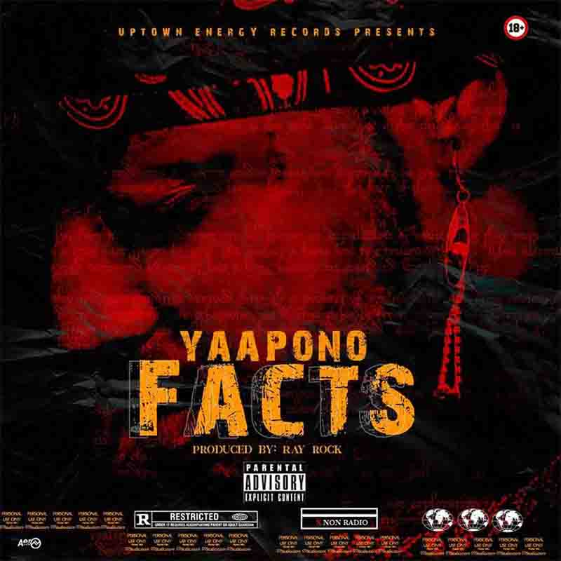 Yaa Pono - Facts (Shatta Wale Diss)